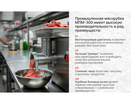 Промышленная мясорубка МПМ-300